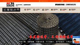 What Jinshuwangdai.net website looked like in 2023 (This year)