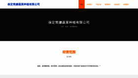 What Janet-zhang.cn website looked like in 2023 (This year)
