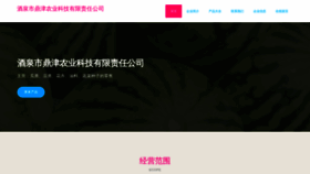 What Jqding.cn website looked like in 2023 (This year)