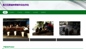 What Jtpzbln.cn website looked like in 2023 (This year)