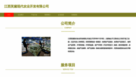 What Jxlfvdj.cn website looked like in 2023 (This year)