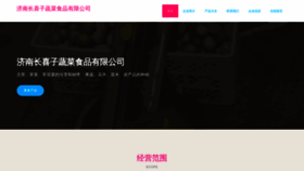 What Jnyerki.cn website looked like in 2023 (This year)