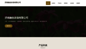 What Jndekang.cn website looked like in 2023 (This year)