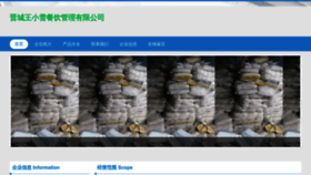 What Jcamellia.cn website looked like in 2023 (This year)