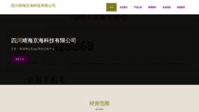 What Jinghaihuanyu.com website looks like in 2024 
