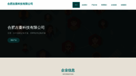 What Jiqiangjiance.com website looks like in 2024 