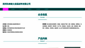 What Jiuzhengbiaoyan.com website looks like in 2024 