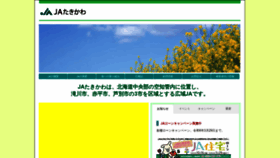What Ja-takikawa.com website looks like in 2024 