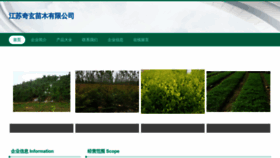 What Jsqixuan.com website looks like in 2024 