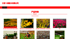 What Jsbutong.com website looks like in 2024 