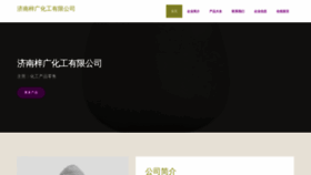 What Jnziguang.com website looks like in 2024 