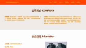 What Jnleidong.cn website looks like in 2024 