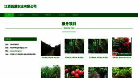 What Jxchangxi.cn website looks like in 2024 