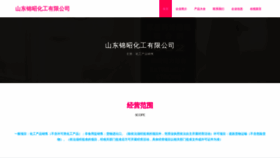 What Jinzhaochem.com website looks like in 2024 