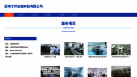 What Jnnyang.com website looks like in 2024 