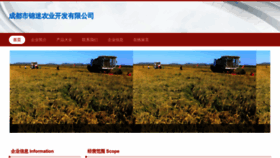 What Jinmiwenhua.com website looks like in 2024 