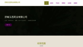 What Jndingwang.cn website looks like in 2024 