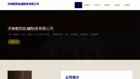 What Jnkoi.cn website looks like in 2024 