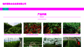 What Jzxuezu.cn website looks like in 2024 