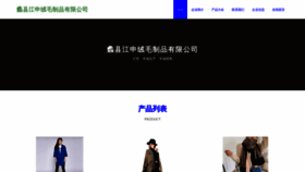 What Jiangshengkeji.com website looks like in 2024 