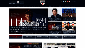 What Japan-baseball.jp website looks like in 2024 