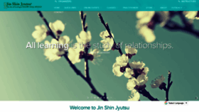 What Jsjinc.net website looks like in 2024 