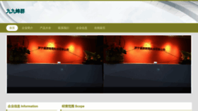What Jiujiutongcheng.com website looks like in 2024 