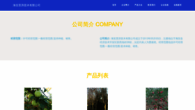 What Jingmipeijian.com website looks like in 2024 