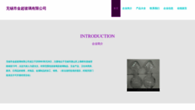 What Jinchaoyimen.com website looks like in 2024 