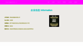 What Jieyigy.com website looks like in 2024 