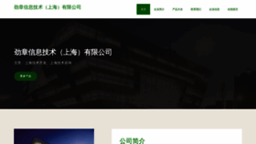 What Jinzhanginfo.com website looks like in 2024 