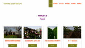 What Jinbao773567.com website looks like in 2024 