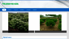 What Jinyinhua567.com website looks like in 2024 