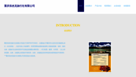 What Jackchong.cn website looks like in 2024 