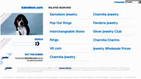What Kameleon.com website looked like in 2012 (11 years ago)