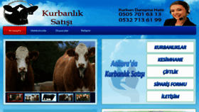 What Kurbankeselim.com website looked like in 2013 (11 years ago)
