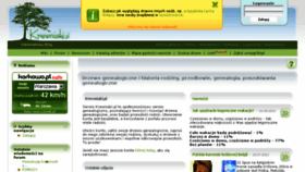 What Krewniaki.pl website looked like in 2013 (10 years ago)