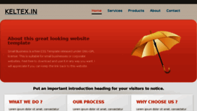 What Keltex.in website looked like in 2013 (10 years ago)