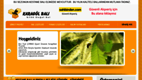 What Karagolbali.com website looked like in 2016 (8 years ago)