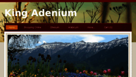 What Kingadenium.net website looked like in 2016 (7 years ago)