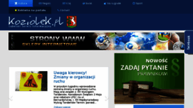 What Koziolek.pl website looked like in 2016 (8 years ago)