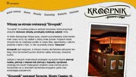 What Kroopnik.pl website looked like in 2016 (8 years ago)