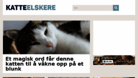 What Katteelskere.com website looked like in 2016 (7 years ago)