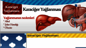 What Karacigeryaglanmasi.gen.tr website looked like in 2016 (7 years ago)