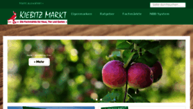 What Kiebitzmarkt.de website looked like in 2016 (7 years ago)