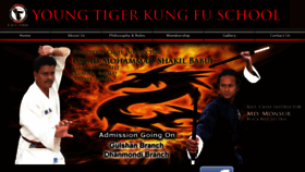What Kungfubd.com website looked like in 2017 (7 years ago)