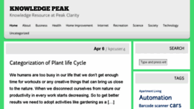 What Knowledge-peak.com website looked like in 2017 (7 years ago)