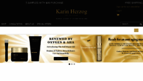 What Karinherzog.com website looked like in 2017 (6 years ago)