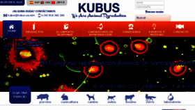 What Kubus-sa.com website looked like in 2017 (6 years ago)