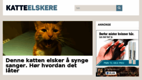 What Katteelskere.com website looked like in 2017 (6 years ago)